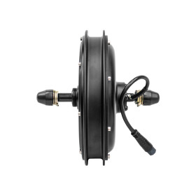 Fat bike motor EEB DD/R175/ 48-72V1000W 